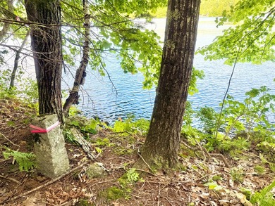 GREAT POND This is an exceedingly rare opportunity to acquire 2 - photo 20