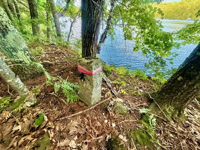 GREAT POND This is an exceedingly rare opportunity to acquire 2 - photo 21
