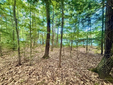 GREAT POND This is an exceedingly rare opportunity to acquire 2 - photo 27