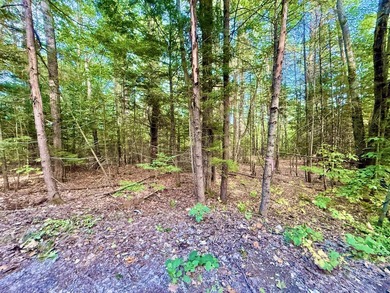 GREAT POND This is an exceedingly rare opportunity to acquire 2 - photo 29
