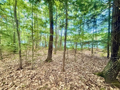 GREAT POND This is an exceedingly rare opportunity to acquire 2 - photo 30