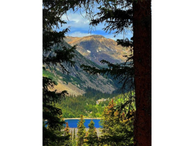 (private lake, pond, creek) Lot For Sale in Alma Colorado