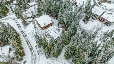 This luxurious home has unparalleled ski access with a private - photo 49