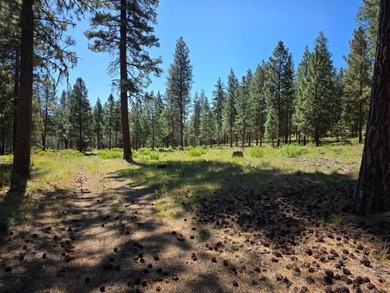 KIRCHER'S RANCH (Both Rivers are World-Class Blue Ribbon Trout - photo 16