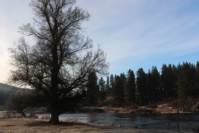 KIRCHER'S RANCH (Both Rivers are World-Class Blue Ribbon Trout - photo 18