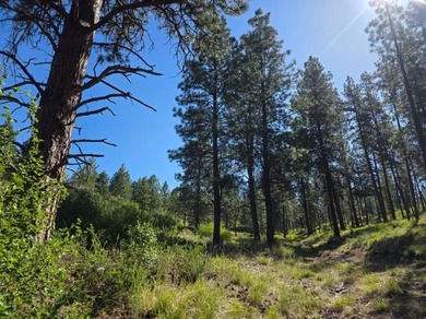 KIRCHER'S RANCH (Both Rivers are World-Class Blue Ribbon Trout - photo 20