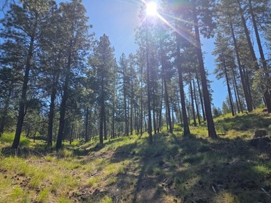 KIRCHER'S RANCH (Both Rivers are World-Class Blue Ribbon Trout - photo 22