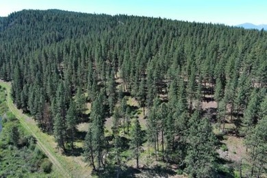 KIRCHER'S RANCH (Both Rivers are World-Class Blue Ribbon Trout - photo 23