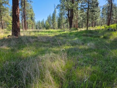 KIRCHER'S RANCH (Both Rivers are World-Class Blue Ribbon Trout - photo 24