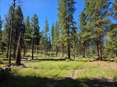 KIRCHER'S RANCH (Both Rivers are World-Class Blue Ribbon Trout - photo 27