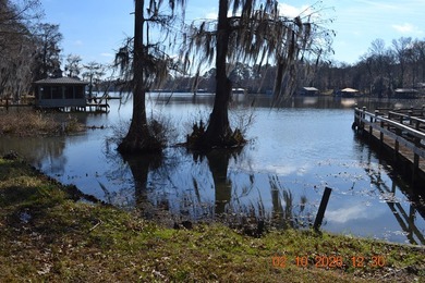 LAKE BLACKSHEAR ON SPRING CREEK. 3 BEDROOMS 2 BATHSE ENJOY THE - photo 8