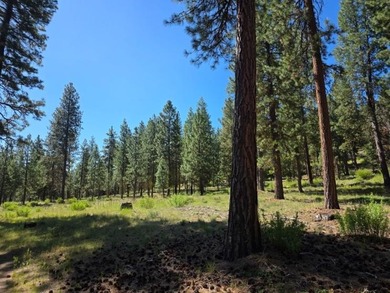 KIRCHER'S RANCH (Both Rivers are World-Class Blue Ribbon Trout - photo 28