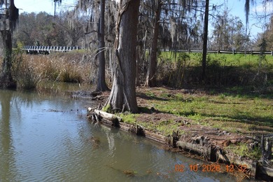 LAKE BLACKSHEAR ON SPRING CREEK. 3 BEDROOMS 2 BATHSE ENJOY THE - photo 10
