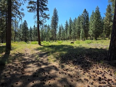 KIRCHER'S RANCH (Both Rivers are World-Class Blue Ribbon Trout - photo 30