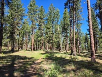 KIRCHER'S RANCH (Both Rivers are World-Class Blue Ribbon Trout - photo 31