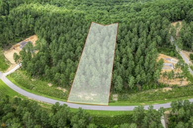 Lake Nottely Lot For Sale in Blairsville Georgia