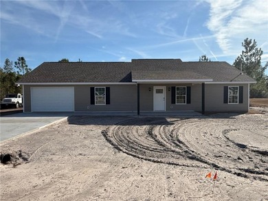 (private lake, pond, coastal) Home For Sale in Waynesville Georgia