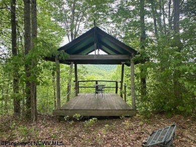 Lake Acreage For Sale in Rowlesburg, West Virginia