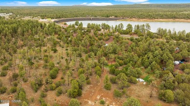 Let us build this (or similar) home on a gorgeous, treed - photo 4