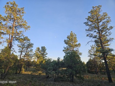 Let us build this (or similar) home on a gorgeous, treed - photo 8