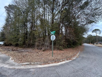 Flint River Lot For Sale in Montezuma Georgia