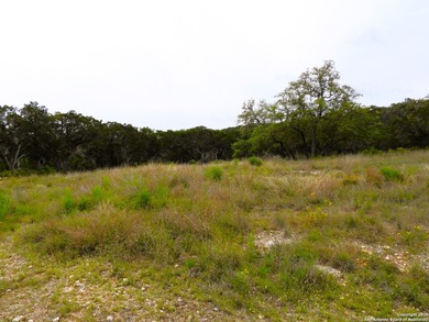 Located just minutes from Medina Lake, this 2.763-acre lot is - photo 5