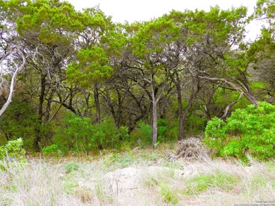 Located just minutes from Medina Lake, this 2.763-acre lot is - photo 10