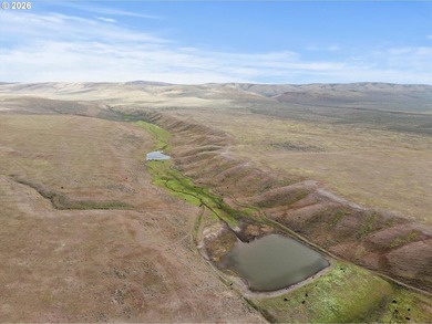Updated Price! Virtue Flat Range Ground | 240+/- Acres | Eastern - photo 1
