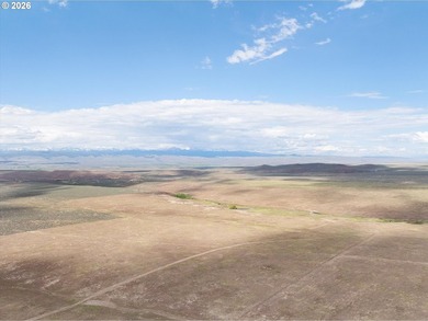 Updated Price! Virtue Flat Range Ground | 240+/- Acres | Eastern - photo 2