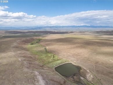 Updated Price! Virtue Flat Range Ground | 240+/- Acres | Eastern - photo 4