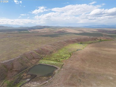 Updated Price! Virtue Flat Range Ground | 240+/- Acres | Eastern - photo 5
