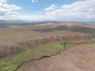 Updated Price! Virtue Flat Range Ground | 240+/- Acres | Eastern - photo 6