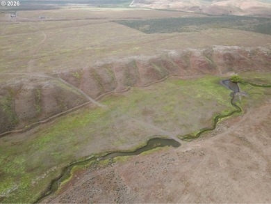 Updated Price! Virtue Flat Range Ground | 240+/- Acres | Eastern - photo 7