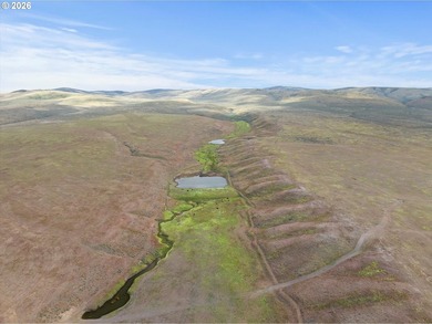 Updated Price! Virtue Flat Range Ground | 240+/- Acres | Eastern - photo 8