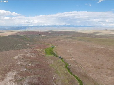 Updated Price! Virtue Flat Range Ground | 240+/- Acres | Eastern - photo 9