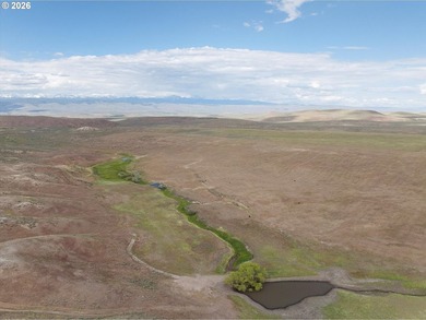 Updated Price! Virtue Flat Range Ground | 240+/- Acres | Eastern - photo 10