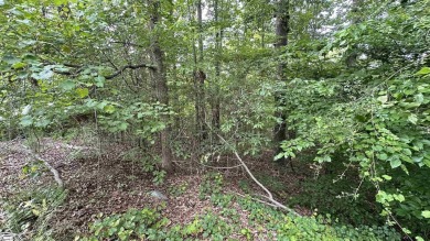 Lake Lot For Sale in Westminster, South Carolina