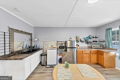 Located in the heart of downtown Acworth, this unique and - photo 48