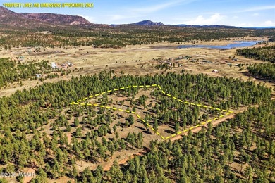 Luna Lake Lot For Sale in Alpine Arizona