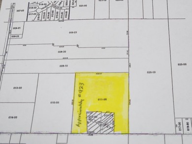 Lake Acreage For Sale in Wayland, Michigan