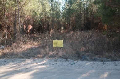 (private lake, pond, coastal) Acreage For Sale in Nahunta Georgia