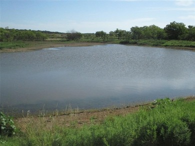 (private lake, pond, creek) Acreage For Sale in Bowie Texas