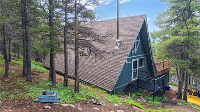 (private lake, pond, creek) Home For Sale in Idaho Springs Colorado