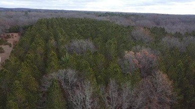 Lake Eleanor Acreage For Sale in Brethren Michigan