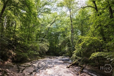 Rare historic property on Rose Creek in Oconee County, GA For - photo 5
