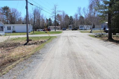 Birchtree Meadows consists of 42 homes and could add up to 6 - photo 3
