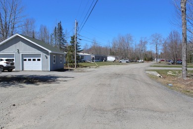 Birchtree Meadows consists of 42 homes and could add up to 6 - photo 4