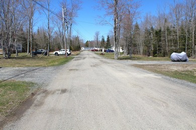 Birchtree Meadows consists of 42 homes and could add up to 6 - photo 6