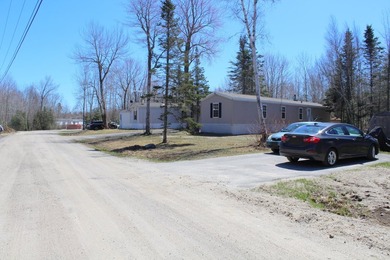 Birchtree Meadows consists of 42 homes and could add up to 6 - photo 7