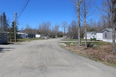 Birchtree Meadows consists of 42 homes and could add up to 6 - photo 8